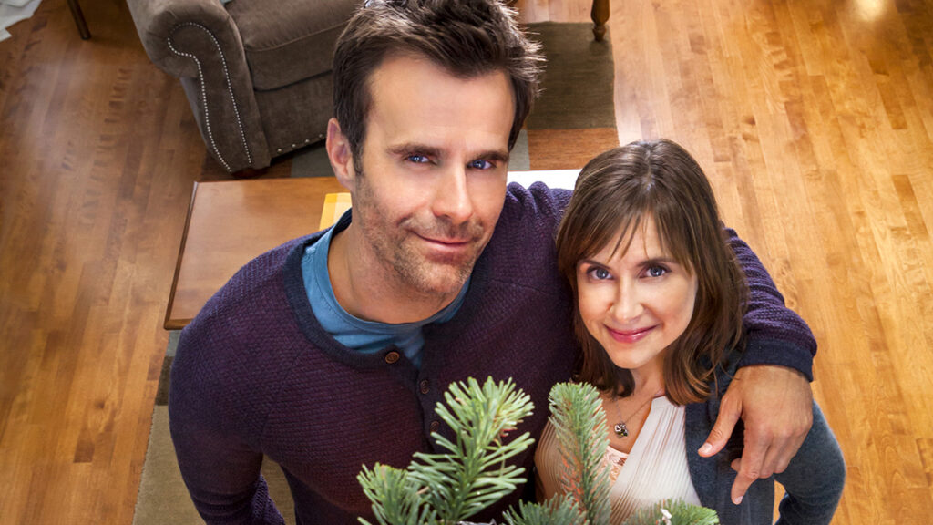 The Christmas Ornament. Kellie Martin, Cameron Mathison